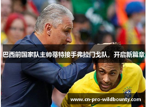 巴西前国家队主帅蒂特接手弗拉门戈队，开启新篇章