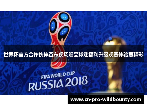 世界杯官方合作伙伴宣布现场赠品球迷福利升级观赛体验更精彩